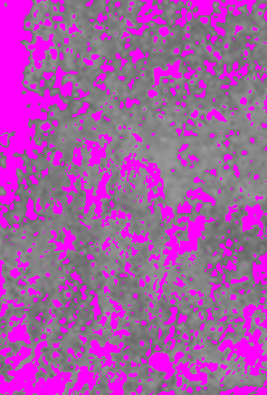 Result press-release